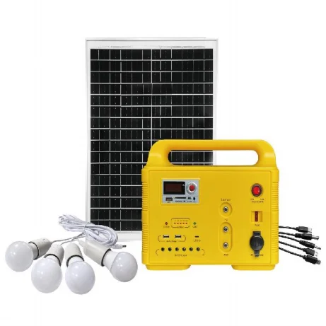Portable Mini Solar Panel Kit with LED Torches and FM Radio